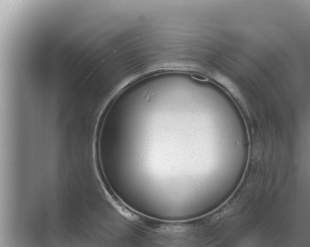 X0000071771237200607150020