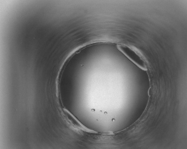 X0000071771238200607150020