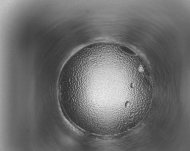 X0000071771239200607150020