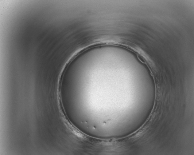 X0000071771240200607150020