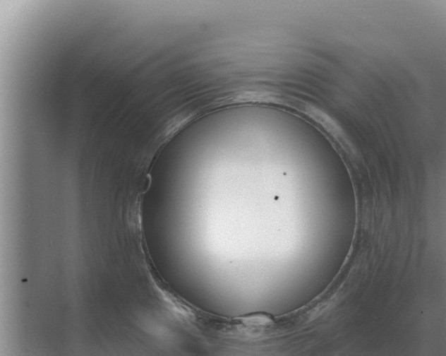 X0000071771241200607150020