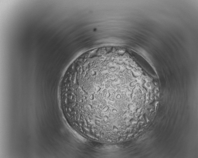 X0000071771243200607150020