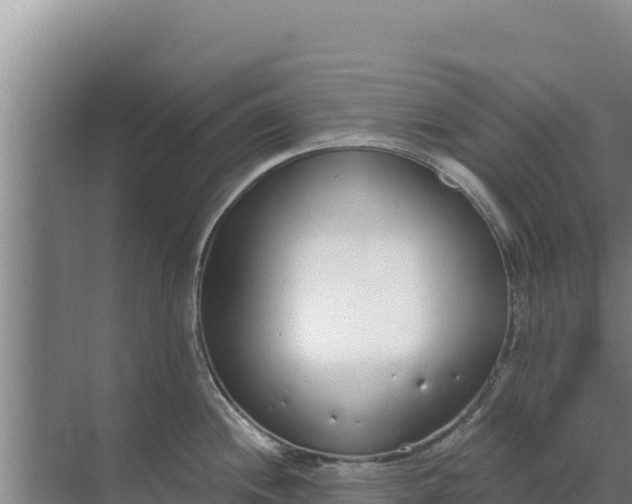 X0000071771244200607150020