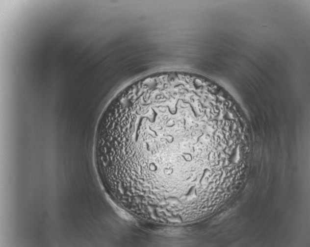 X0000071771245200607150020