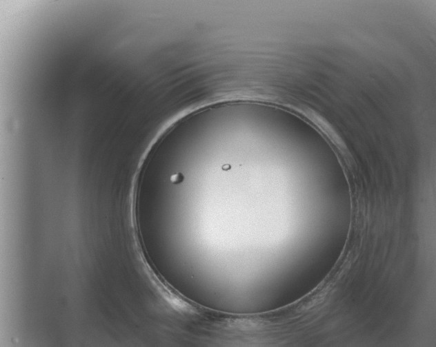 X0000071771246200607150020