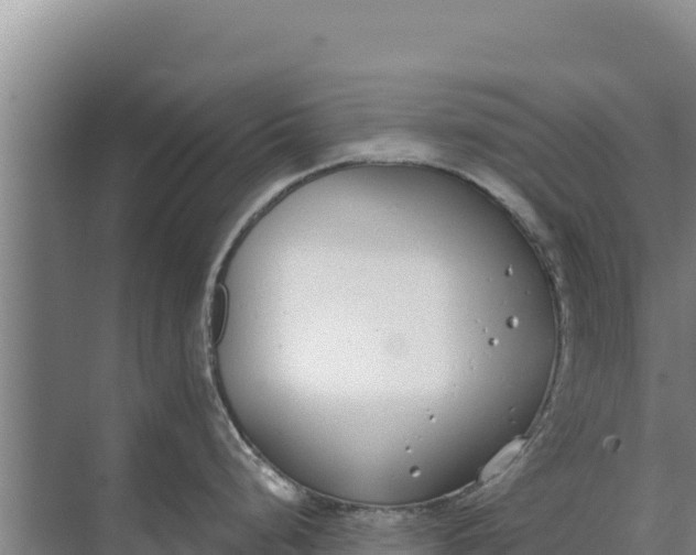 X0000071771248200607150020