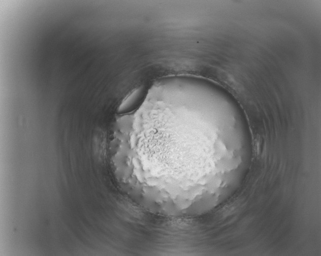 X0000071771251200607150019