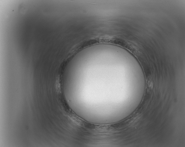 X0000071771252200607150019