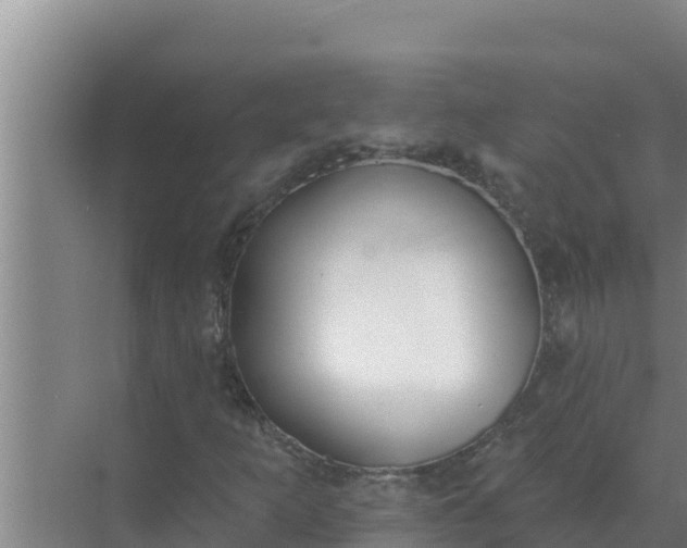 X0000071771253200607150019