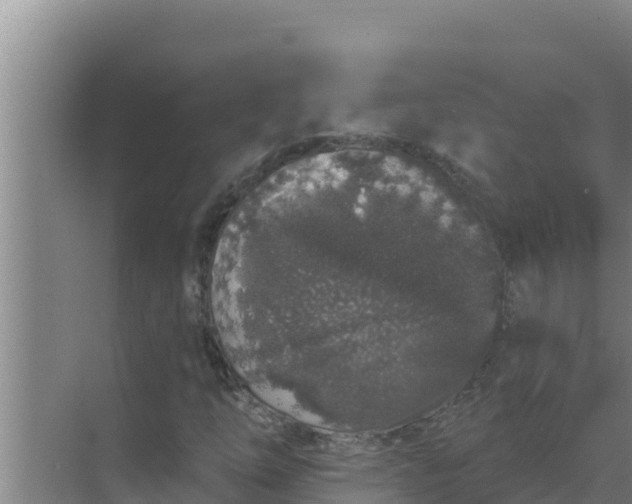 X0000071771254200607150019