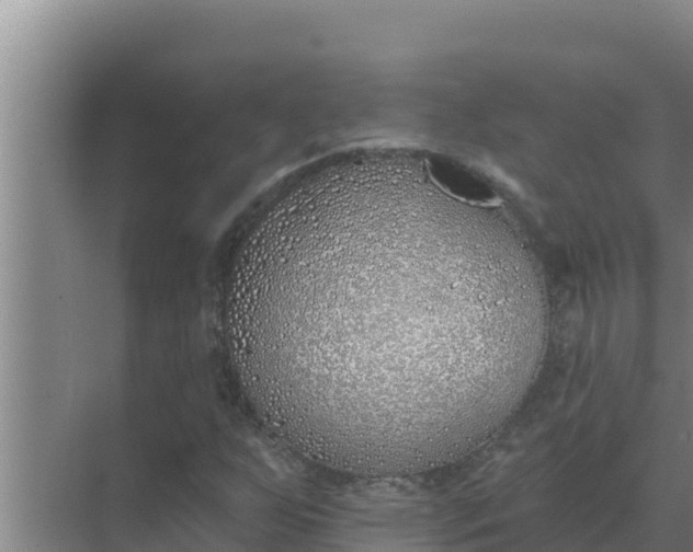 X0000071771255200607150019