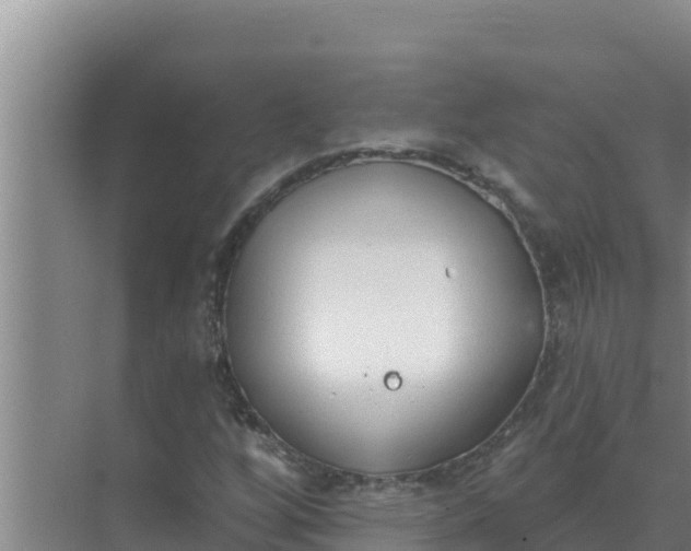 X0000071771256200607150019