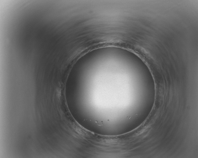 X0000071771257200607150019