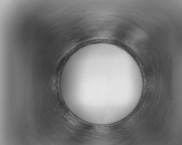 X0000071771258200607150019