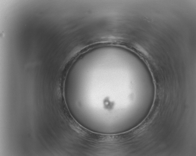 X0000071771259200607150019