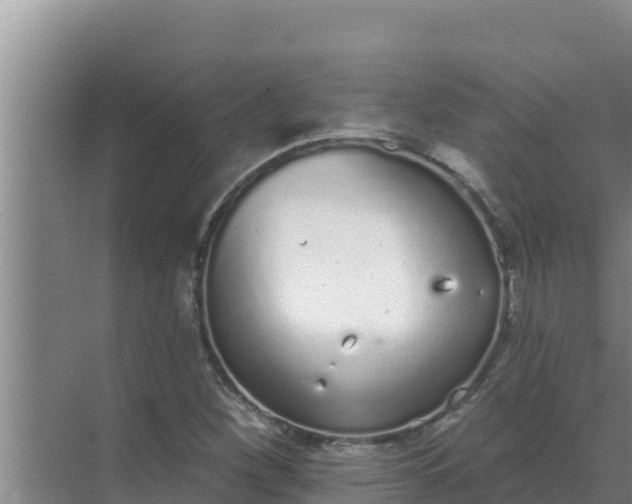 X0000071771260200607150019