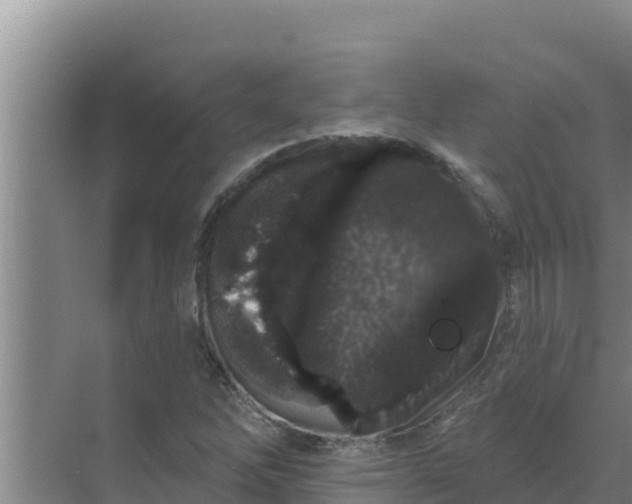 X0000071771262200607150019