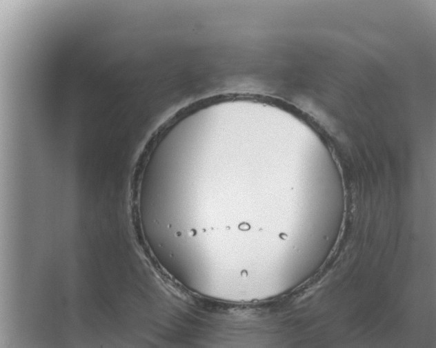 X0000071771264200607150019