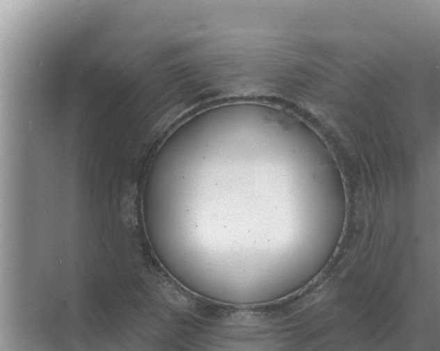 X0000071771265200607150019