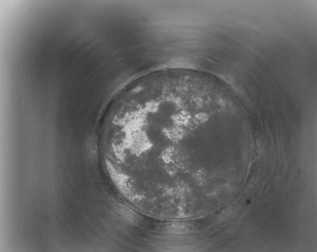 X0000071771266200607150019