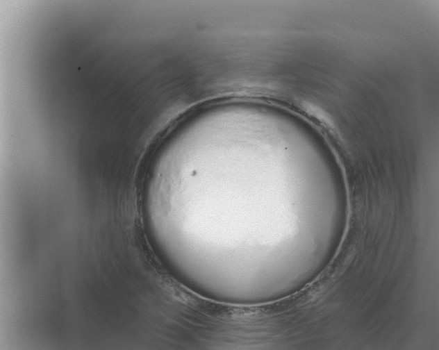 X0000071771267200607150019