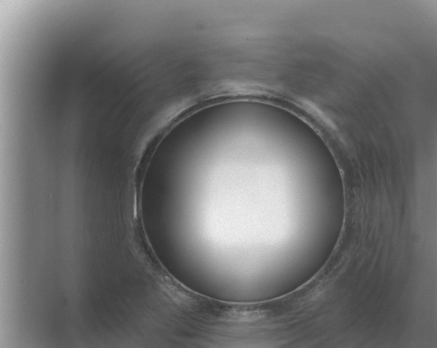 X0000071771269200607150019