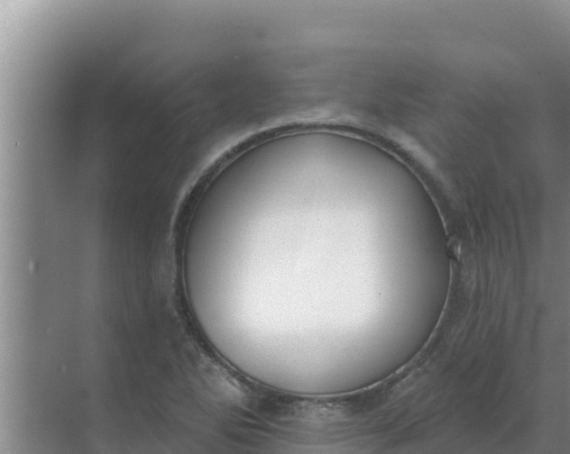 X0000071771270200607150019