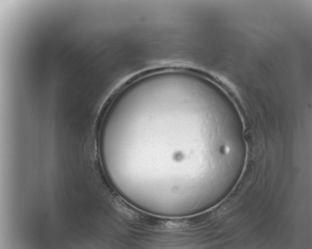 X0000071771271200607150019