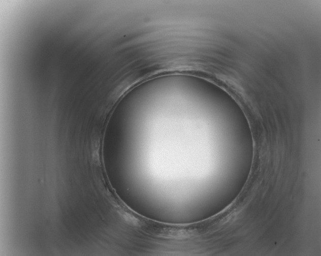 X0000071771273200607150019