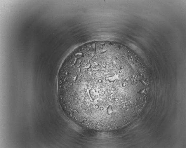 X0000071771275200607150019