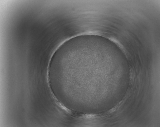 X0000071771278200607150019