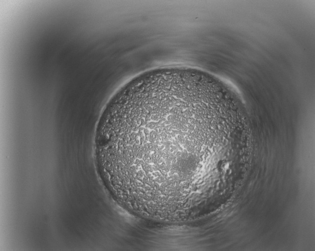 X0000071771279200607150019