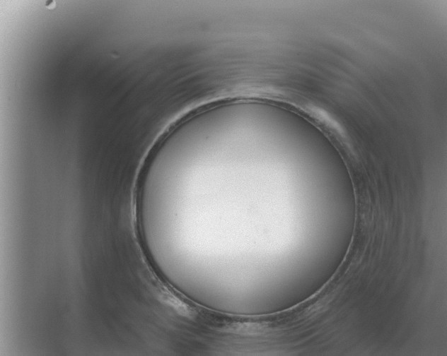 X0000071771280200607150019