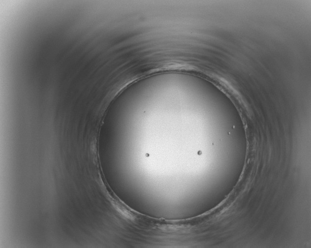 X0000071771281200607150019