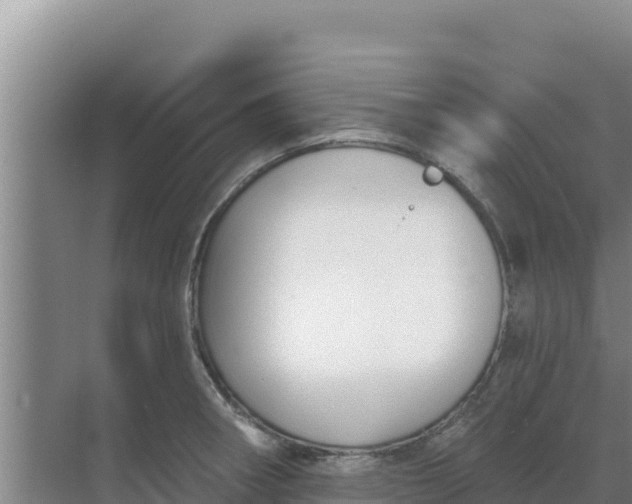 X0000071771282200607150019