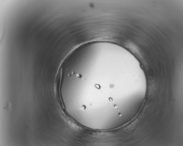 X0000071771284200607150019