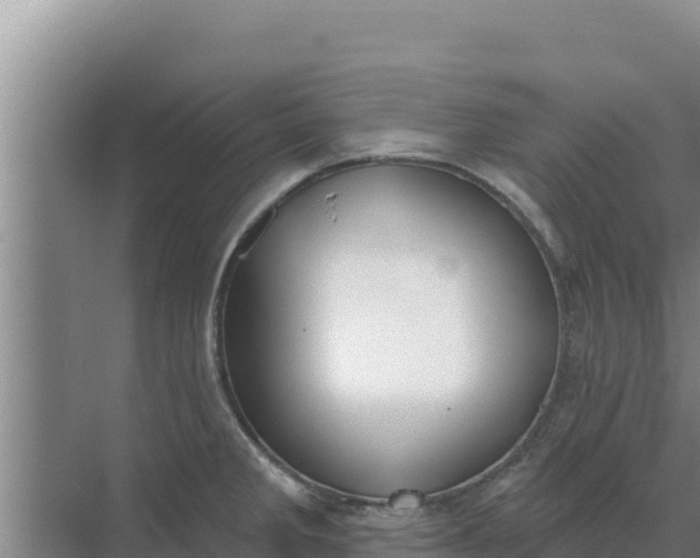 X0000071771285200607150019