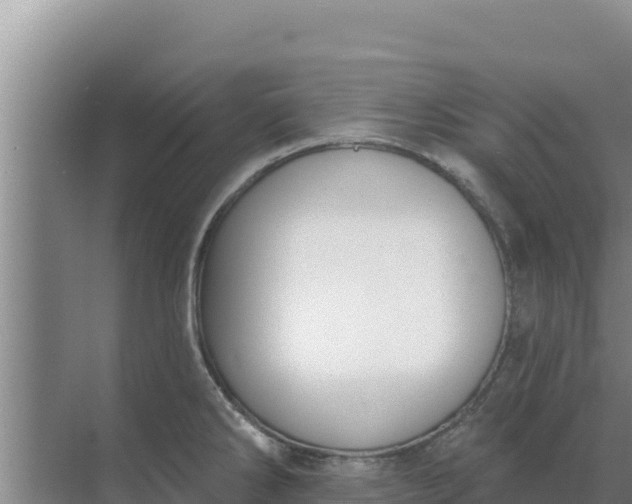 X0000071771286200607150019