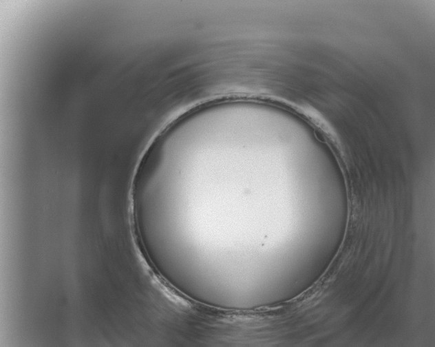 X0000071771287200607150019