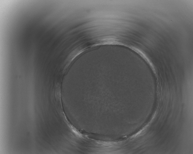 X0000071771289200607150018