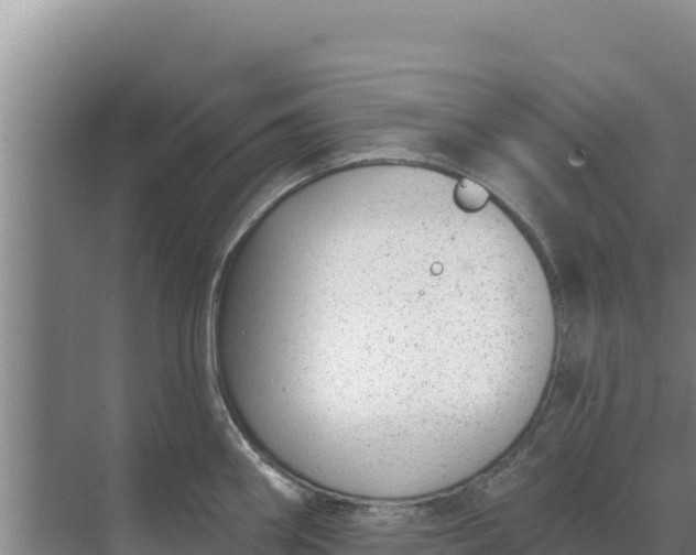 X0000071771290200607150018