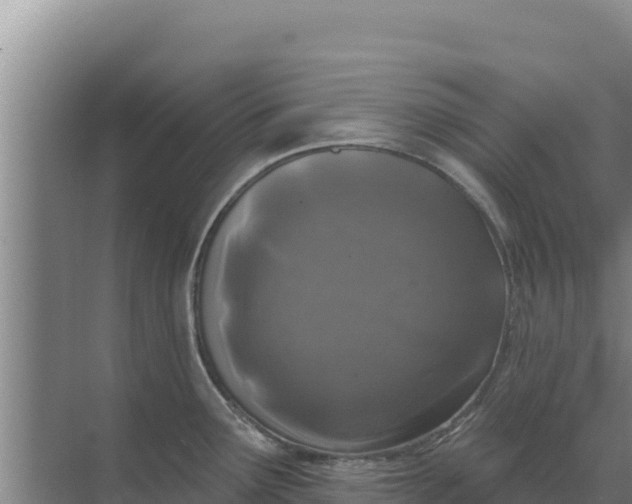 X0000071771291200607150018