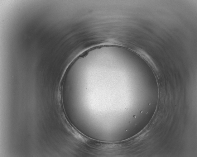 X0000071771292200607150018