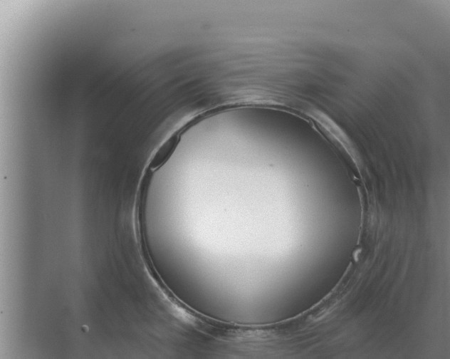 X0000071771293200607150018