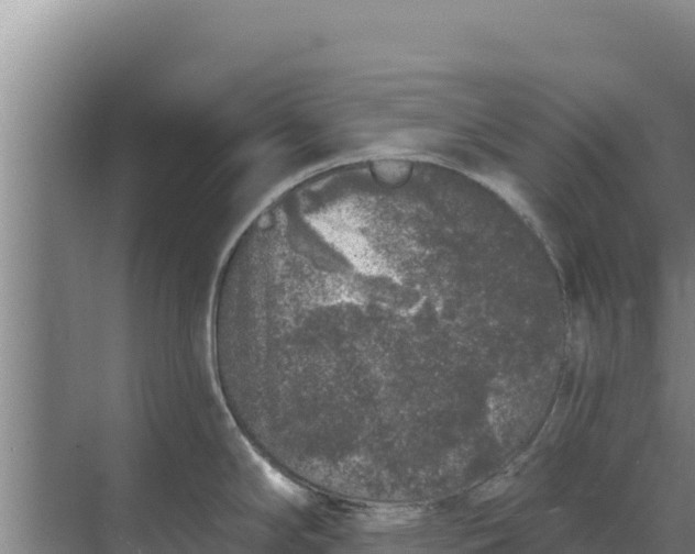 X0000071771294200607150018