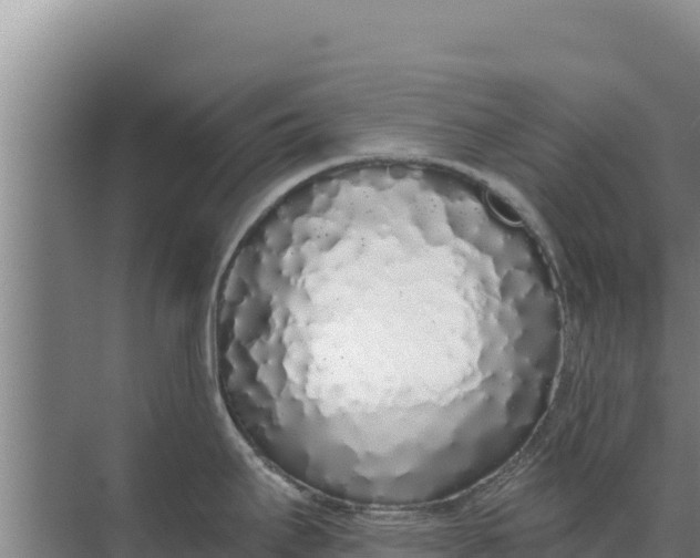 X0000071771295200607150018