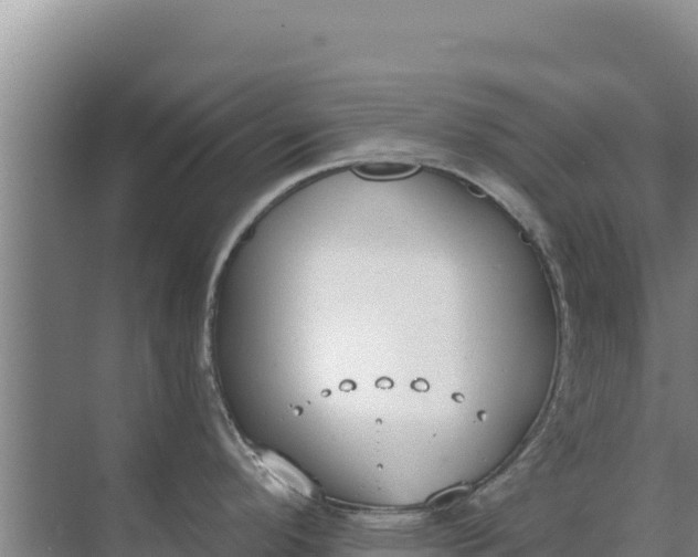 X0000071771296200607150018