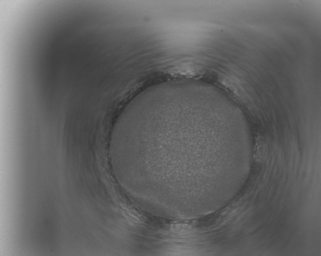 X0000071771297200607150018