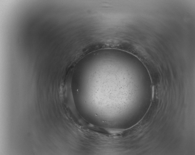 X0000071771298200607150018