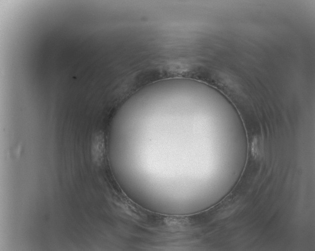 X0000071771299200607150018